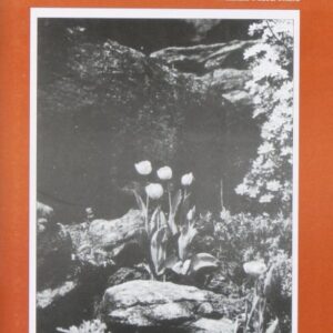 Kristus miloval Cirkev